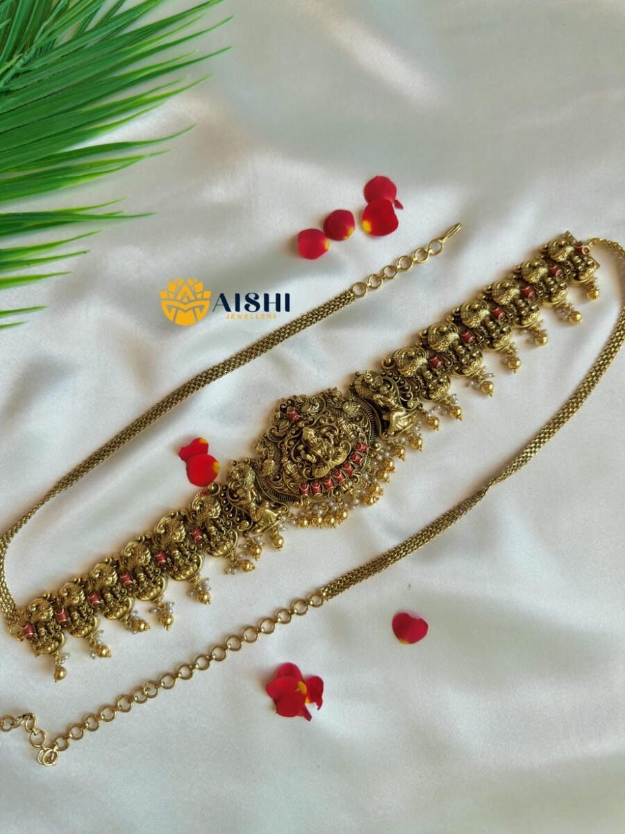Divine Drape Oddiyanam-HB225