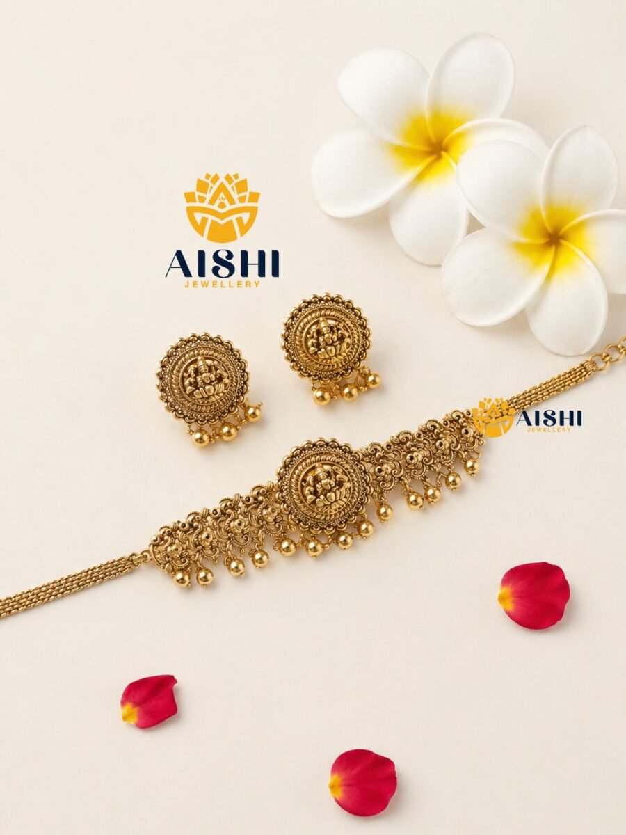 Lakshmi Coin Choker Set – HN210